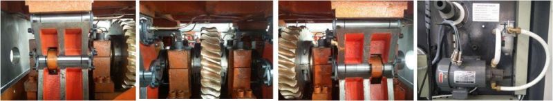 Corona Beer Packaging Fully Automatic Stripping Counting Stacking Roll Die Cutting Machine Fdq1400*780