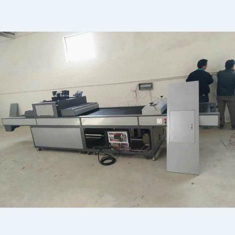 Wrinkle Effect Crease UV Drying Machine LED UV Curing System