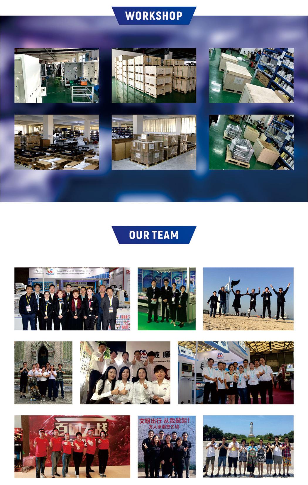 Blank/Ink/Toiletries Labels/Name Plate/Dumb Gold Paper/Identification Label Finishing Machine Vr30